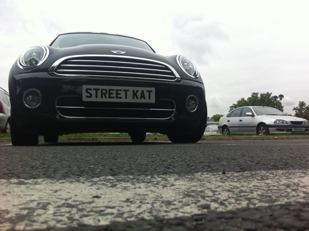 Street Kat 5